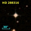 HD 288316