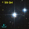 V* V1004 Ori