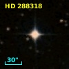 HD 288318