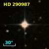 HD 290987
