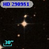 HD 290981