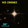 HD 290982