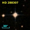 HD 288307