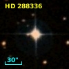 HD 288336