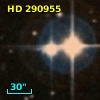 HD 290955