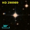 HD 290989