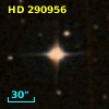 HD 290956