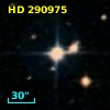 HD 290975