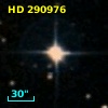 HD 290976