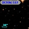 [SC93b] 517