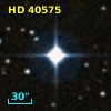 HD  40575