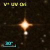 V* UV Ori