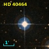 HD  40464