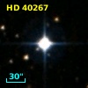 HD  40267