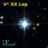 V* XX Lep