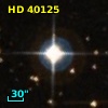 HD  40125