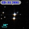 CD-31  2891