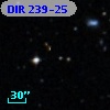 DIR 239-25
