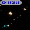 CD-31  2813