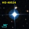 HD  40524