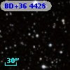 BD+36  4428