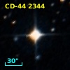 CD-44  2344