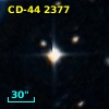 CD-44  2377