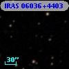 IRAS 06036+4403