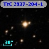 TYC 2937-204-1