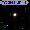 TYC 2937-954-1
