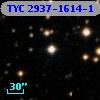 TYC 2937-1614-1