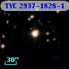 TYC 2937-1828-1