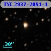 TYC 2937-2081-1