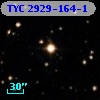 TYC 2929-164-1