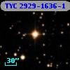 TYC 2929-1636-1