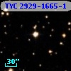 TYC 2929-1665-1