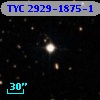 TYC 2929-1875-1