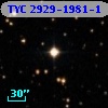 TYC 2929-1981-1