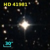 HD  41981