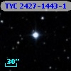 TYC 2427-1443-1