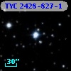 TYC 2428-827-1
