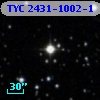TYC 2431-1002-1