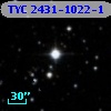 TYC 2431-1022-1