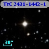 TYC 2431-1442-1
