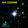 HD 250490