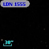 LDN 1555