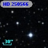 HD 250566