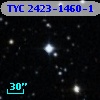 TYC 2423-1460-1