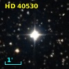 HD  40530