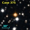 C*  446